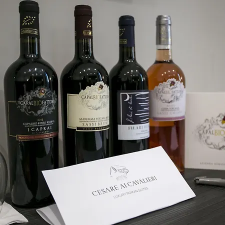 切萨雷卡瓦列里套房旅馆 4*